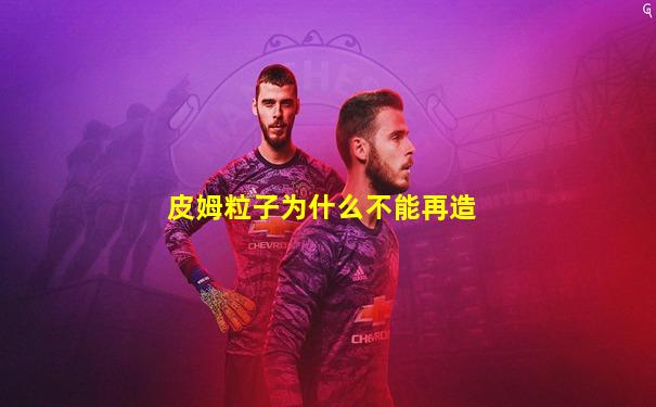 皮姆粒子为什么不能再造